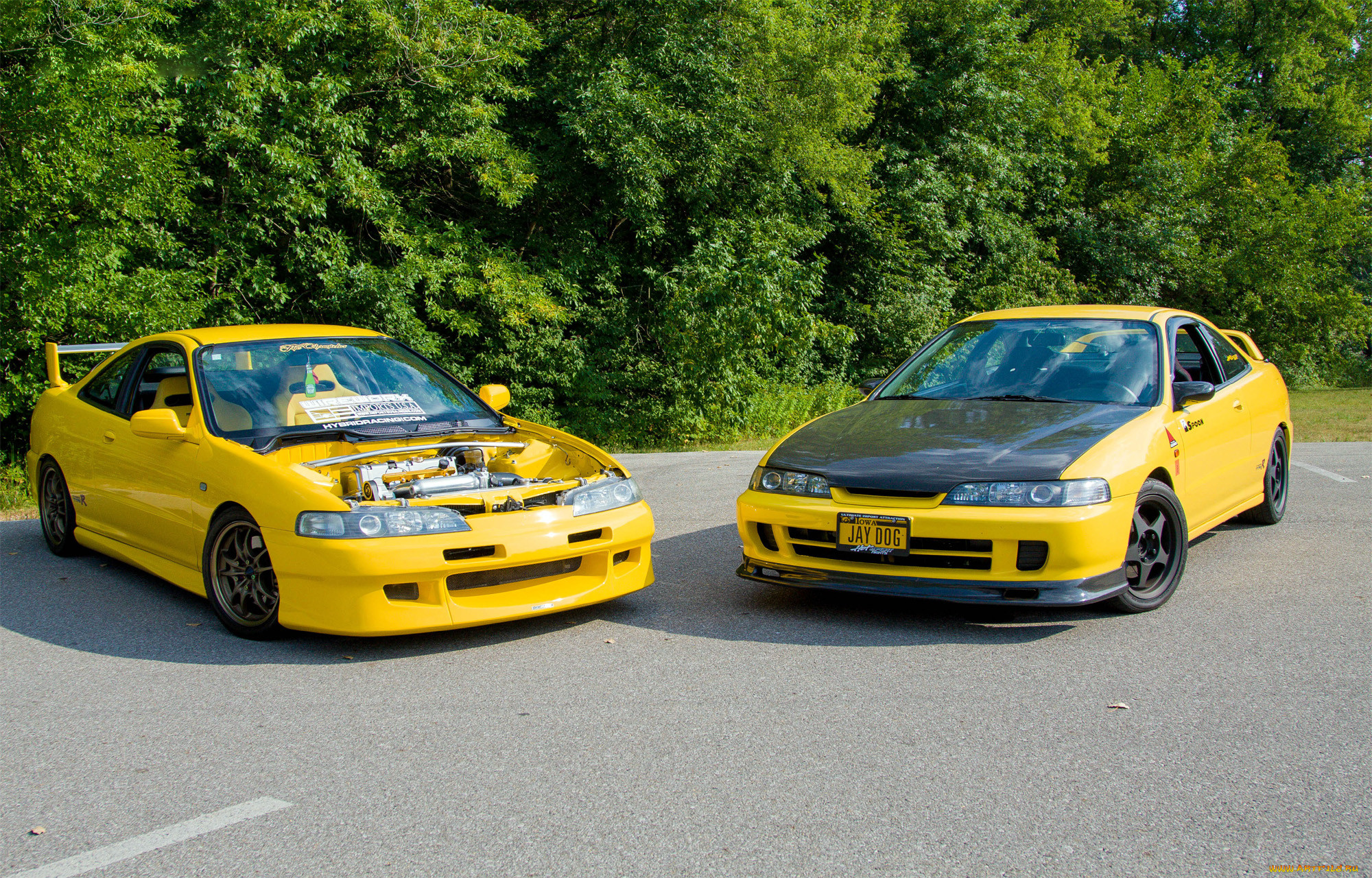 , honda, integra